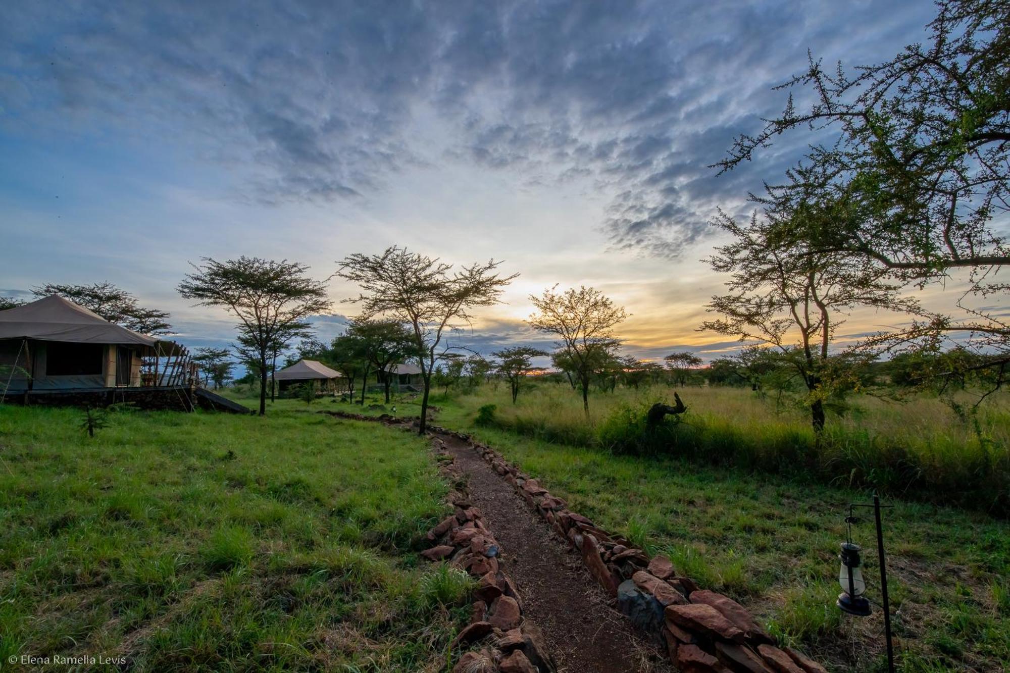 Serengeti Kifaru Tented Lodge Mugumu Zewnętrze zdjęcie