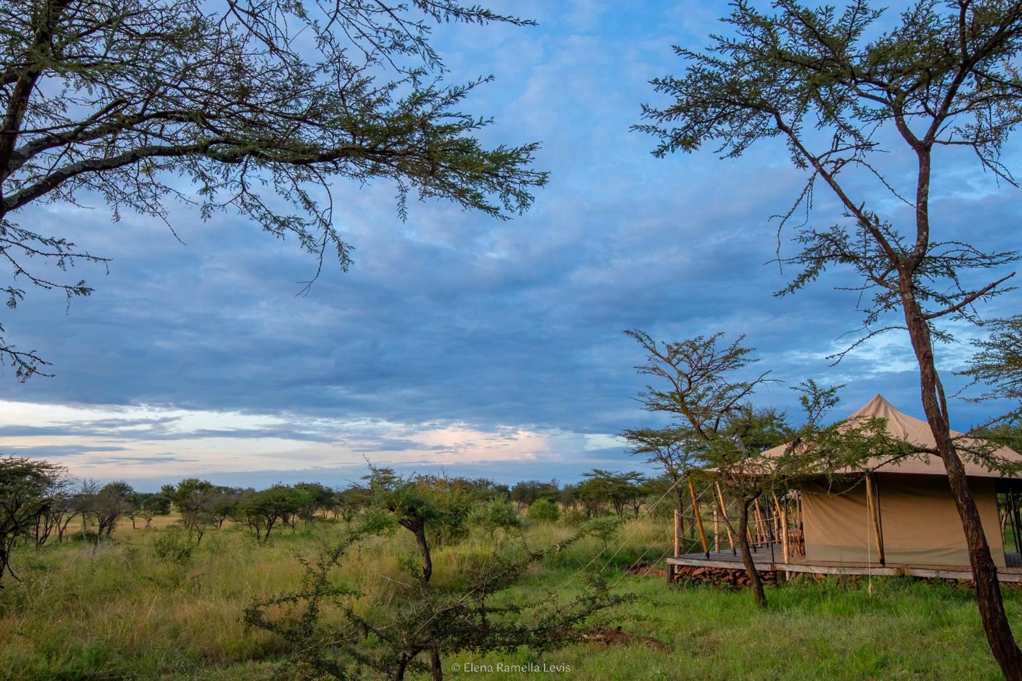 Serengeti Kifaru Tented Lodge Mugumu Zewnętrze zdjęcie